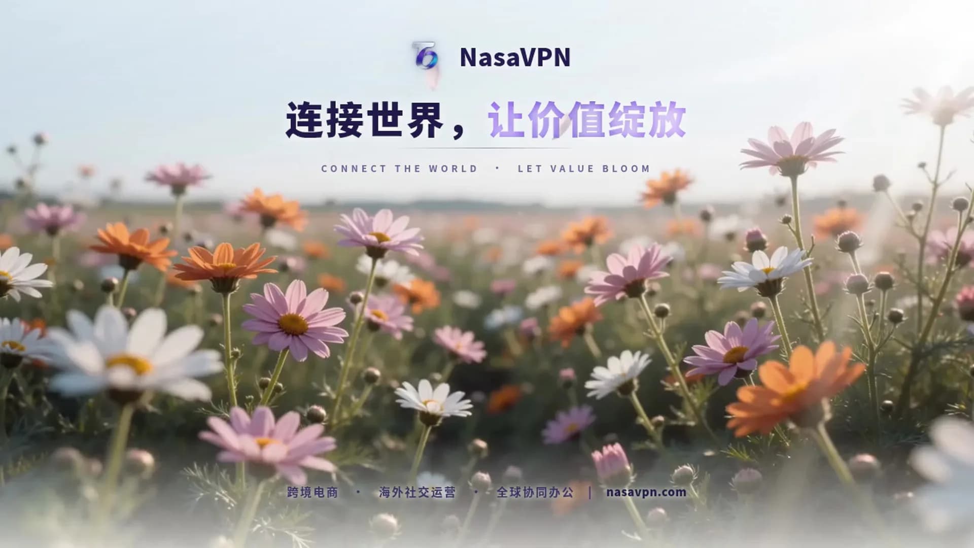 出海团队为什么要减少供应商？一家配齐的账怎么算 - NasaVPN